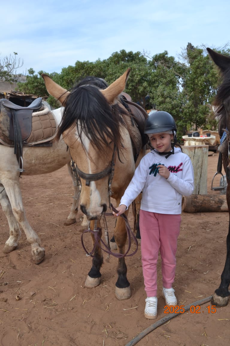 Camel & Horse Adventure Tour - Image 1