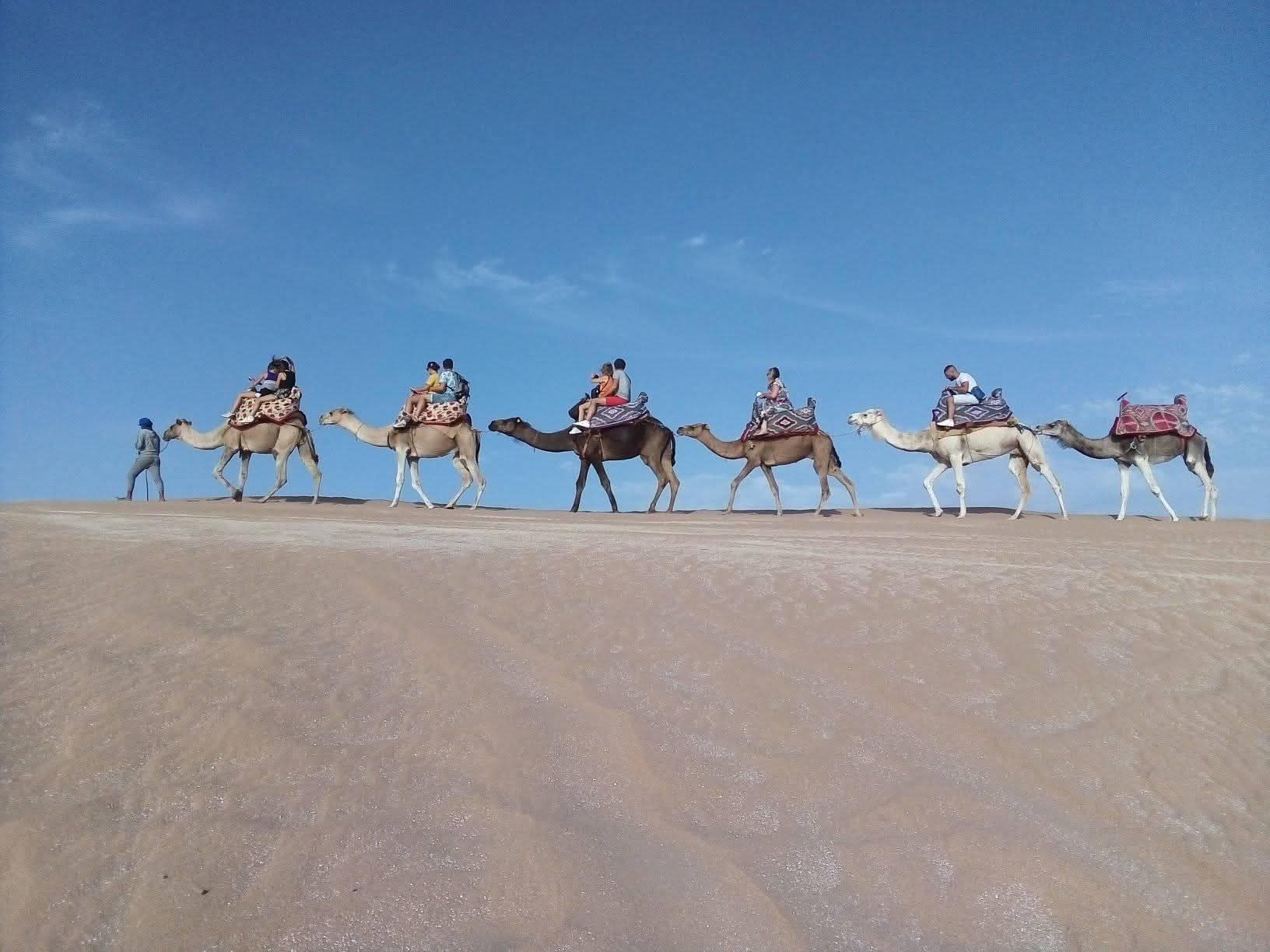 Camel & Horse Adventure Tour - Image 9