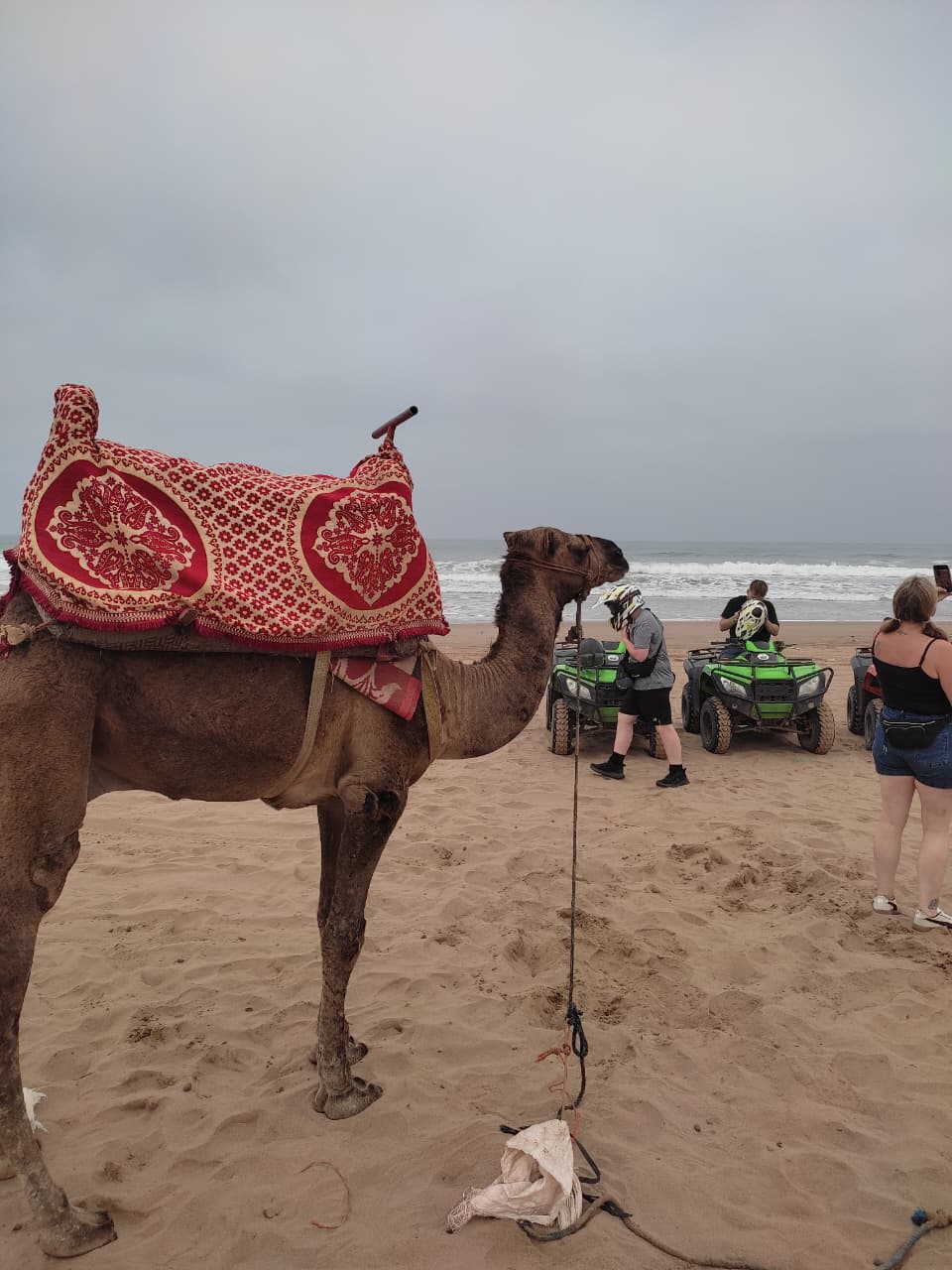 Desert Explorer Pack - Image 2